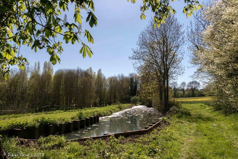 A l'orée des bois