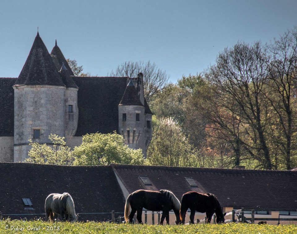 Le manoir de Courboyer