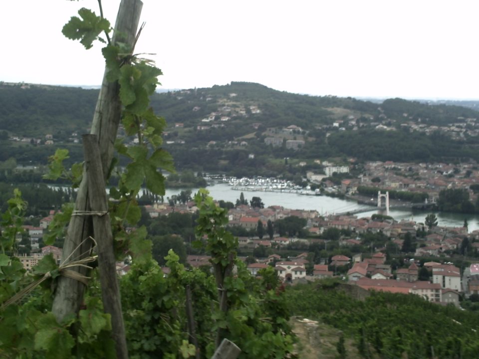 Sainte-Agathe - Condrieu n° 3