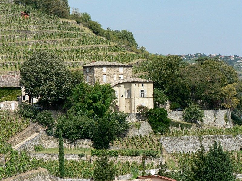 Château Grillet Vérin