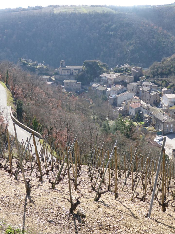Le vignoble