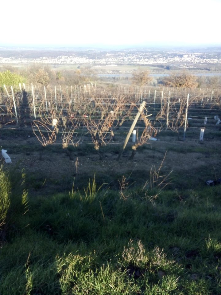 Les hameaux de Chèzenas - Saint-Pierre de Boeuf N° 3