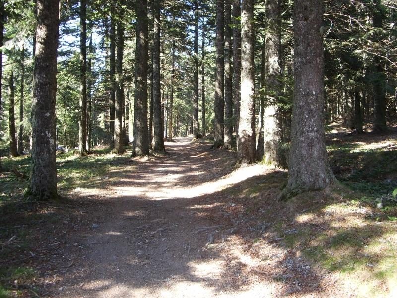 Chemin-1decouv