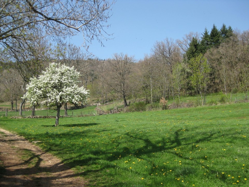 Chavardet - Roisey n° 2
