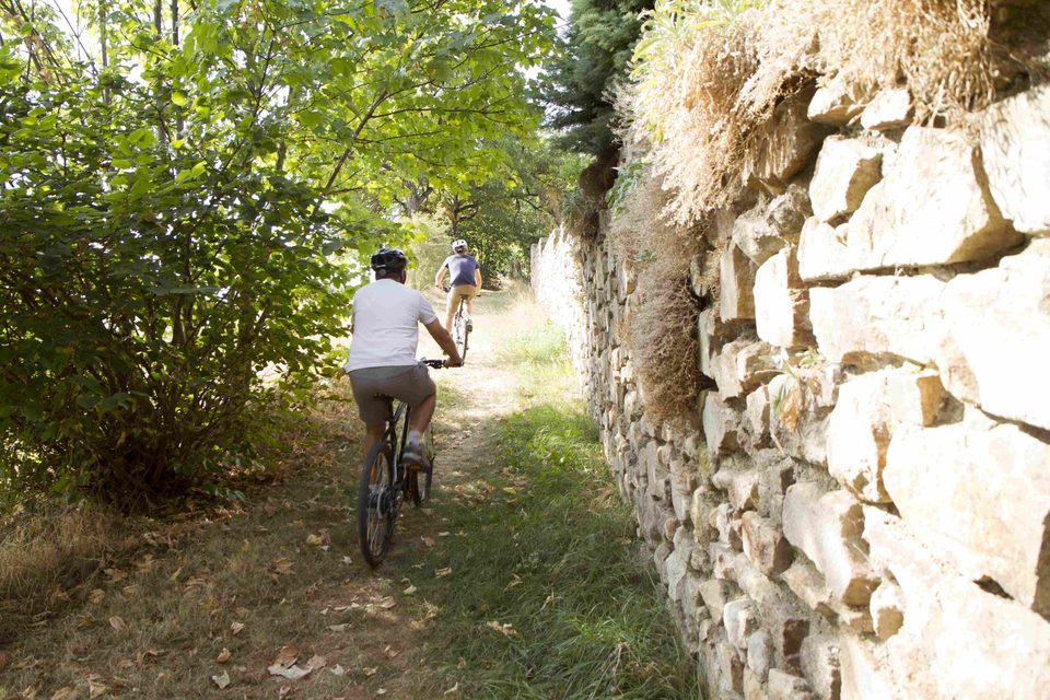 VTT n°12 - Le huit de la Valencize - Difficulté bleu (VTTAE vert)