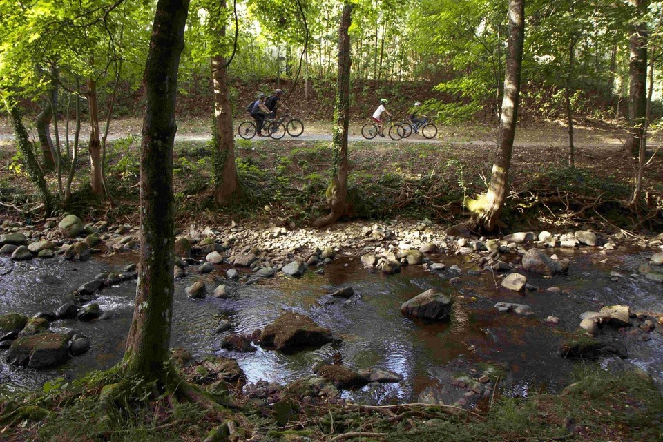 VTT1 (2)