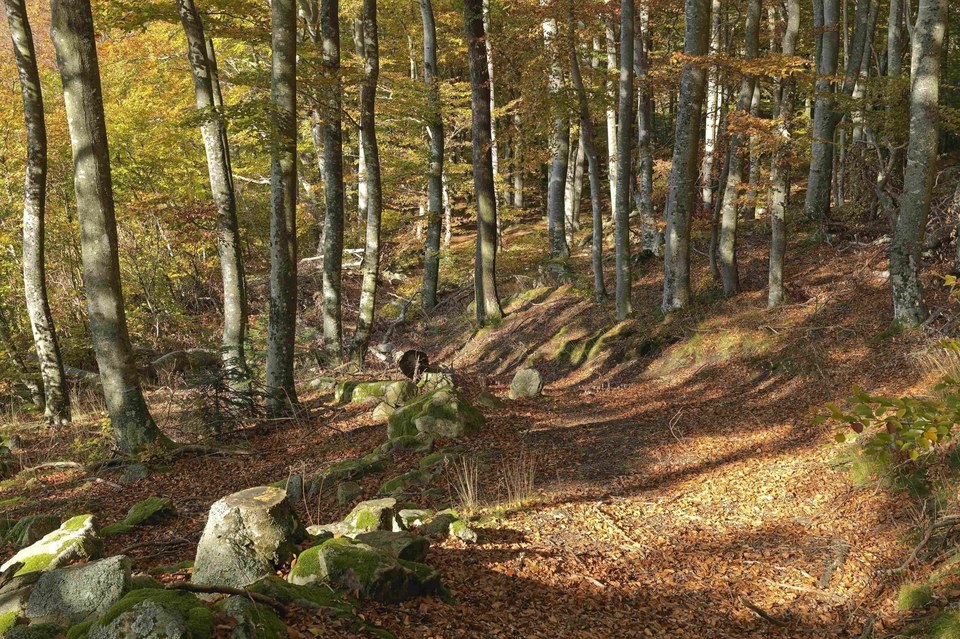 VTT n°13 - Tour du Mont Ministre - Difficulté vert (VTTAE vert)
