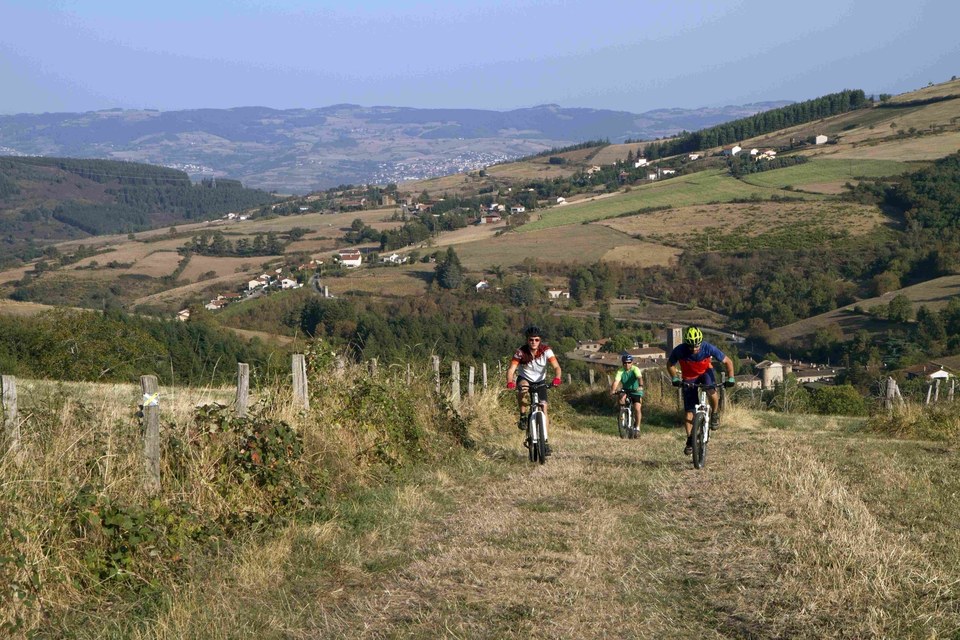 VTT15