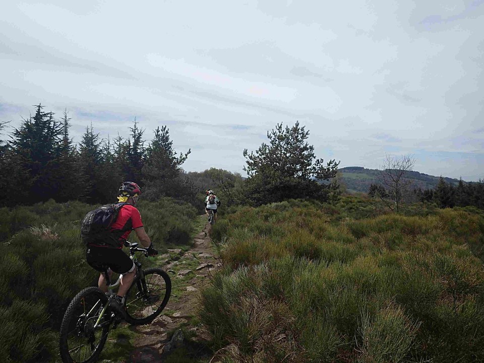 VTT19