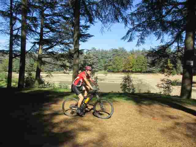VTT4