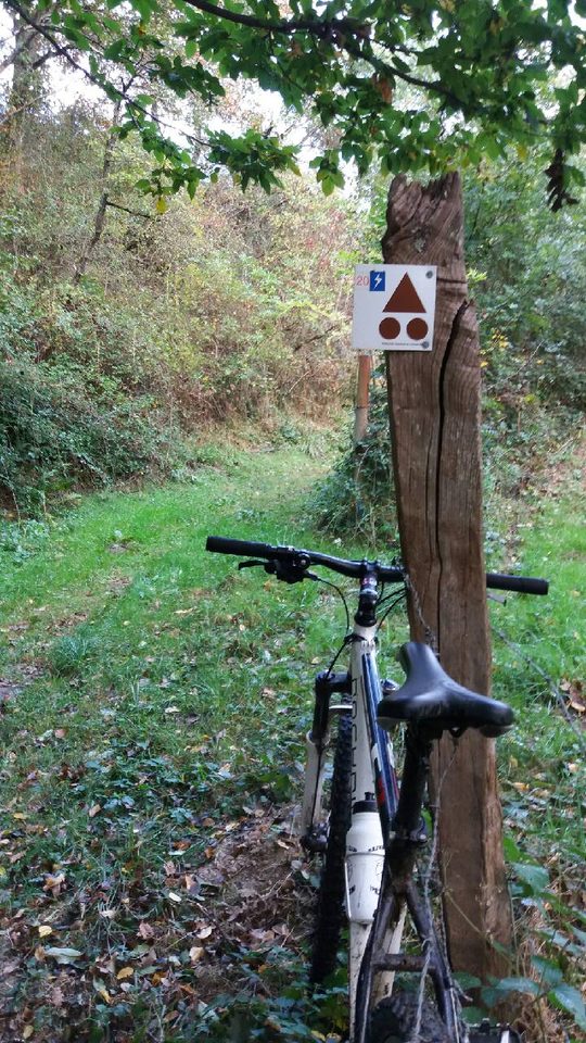 VTT20-M-Versini