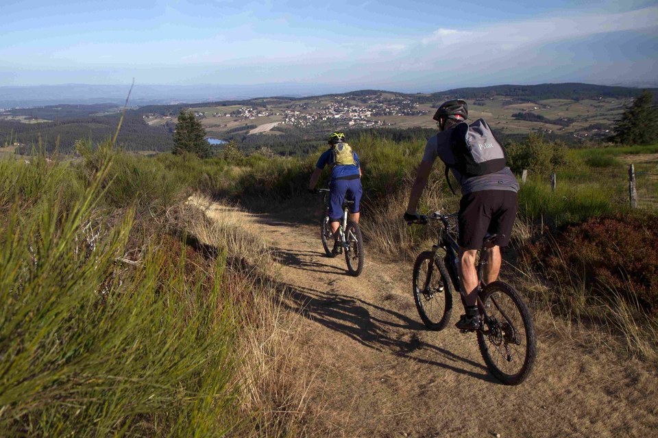 VTT29 (1)