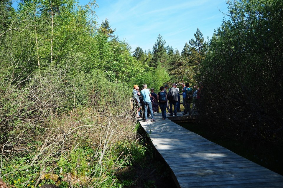 Tourbière des Vernels