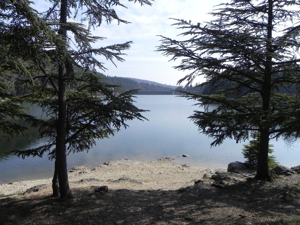 Le Ternay - Saint-Julien Molin Molette  n° 3