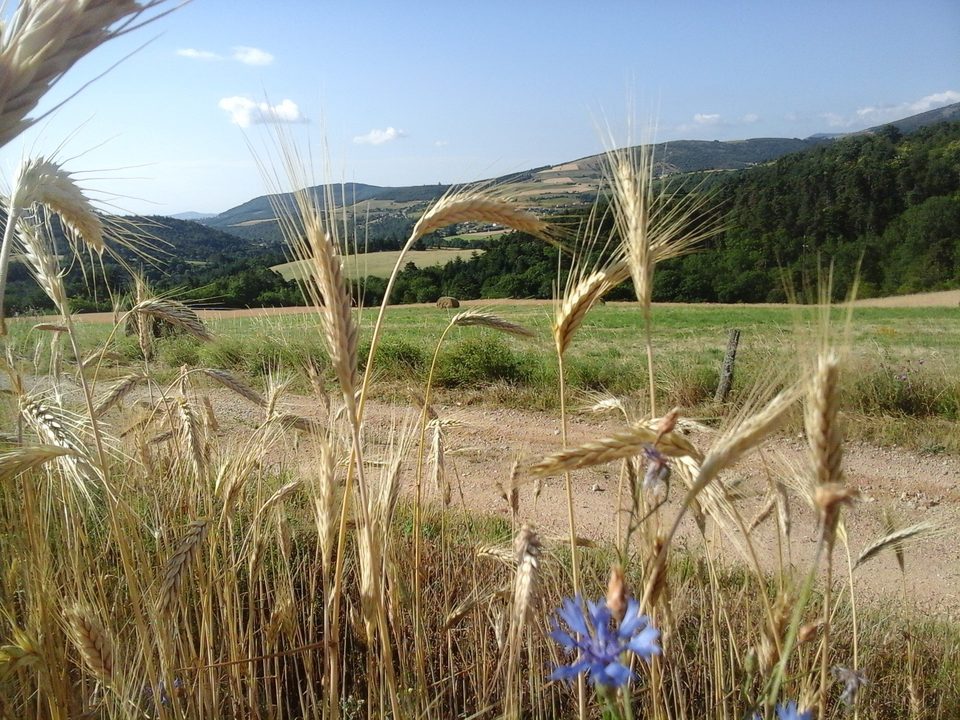 Vue sur le parcours
