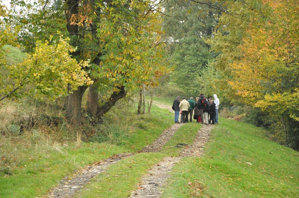 Les Bruyères - St-Chamond n°7