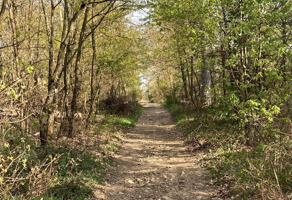 Trèves