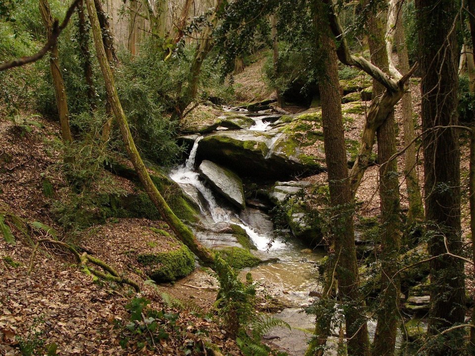 Les hauteurs - Loire-sur-Rhône n°2