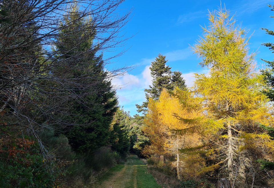 piste du milieu