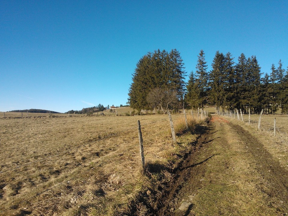 Chemin-1decouv