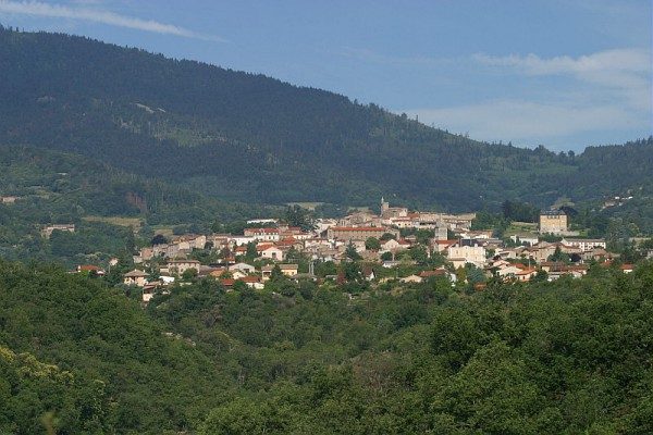 Vue-Pelu