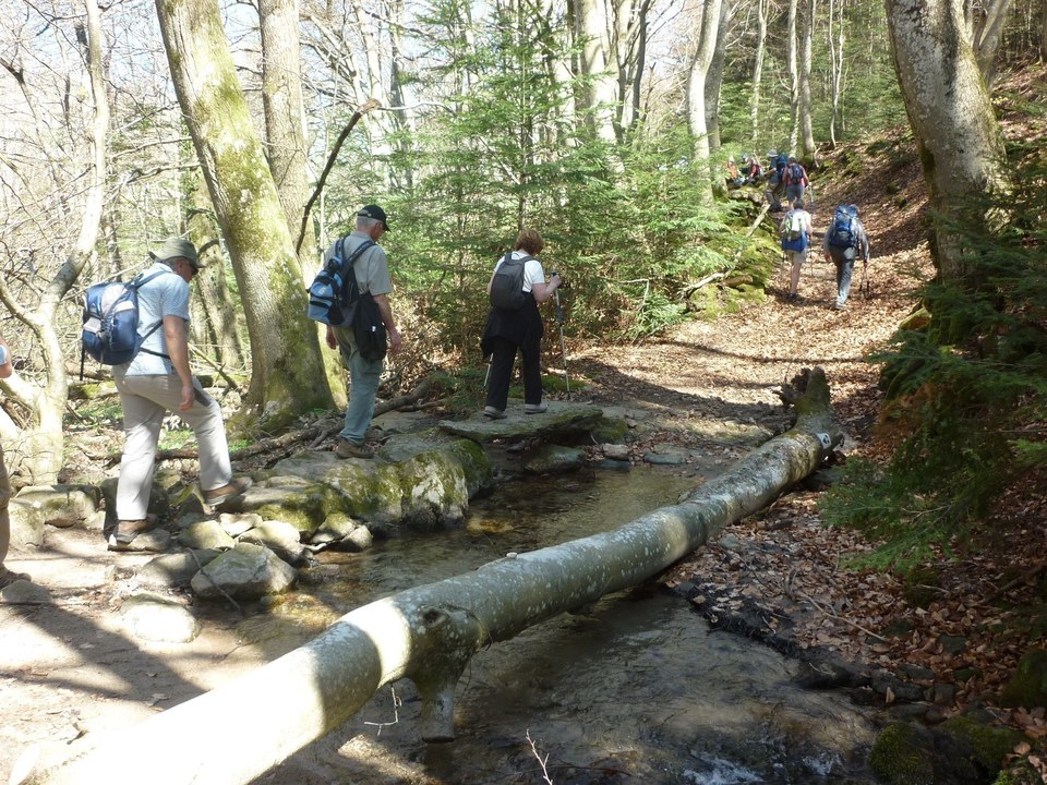 Ruisseau-Bassin