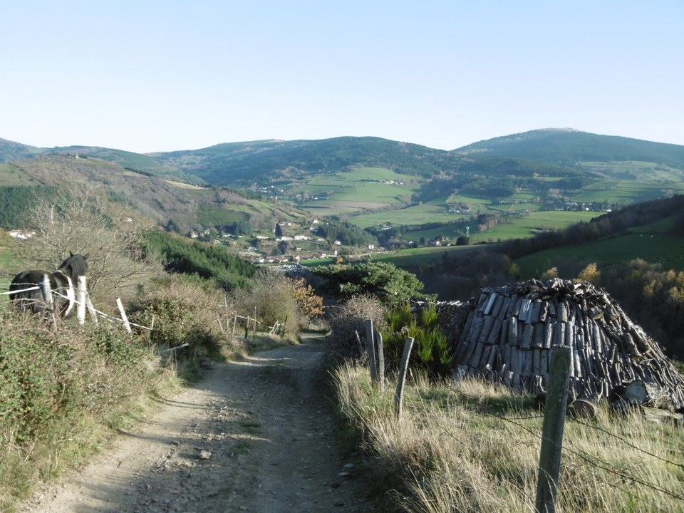 Sentier du Bois Bouchat - La Terrasse-sur-Dorlay n° 2
