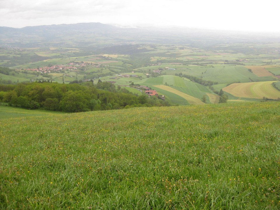 PILAT_011426ori