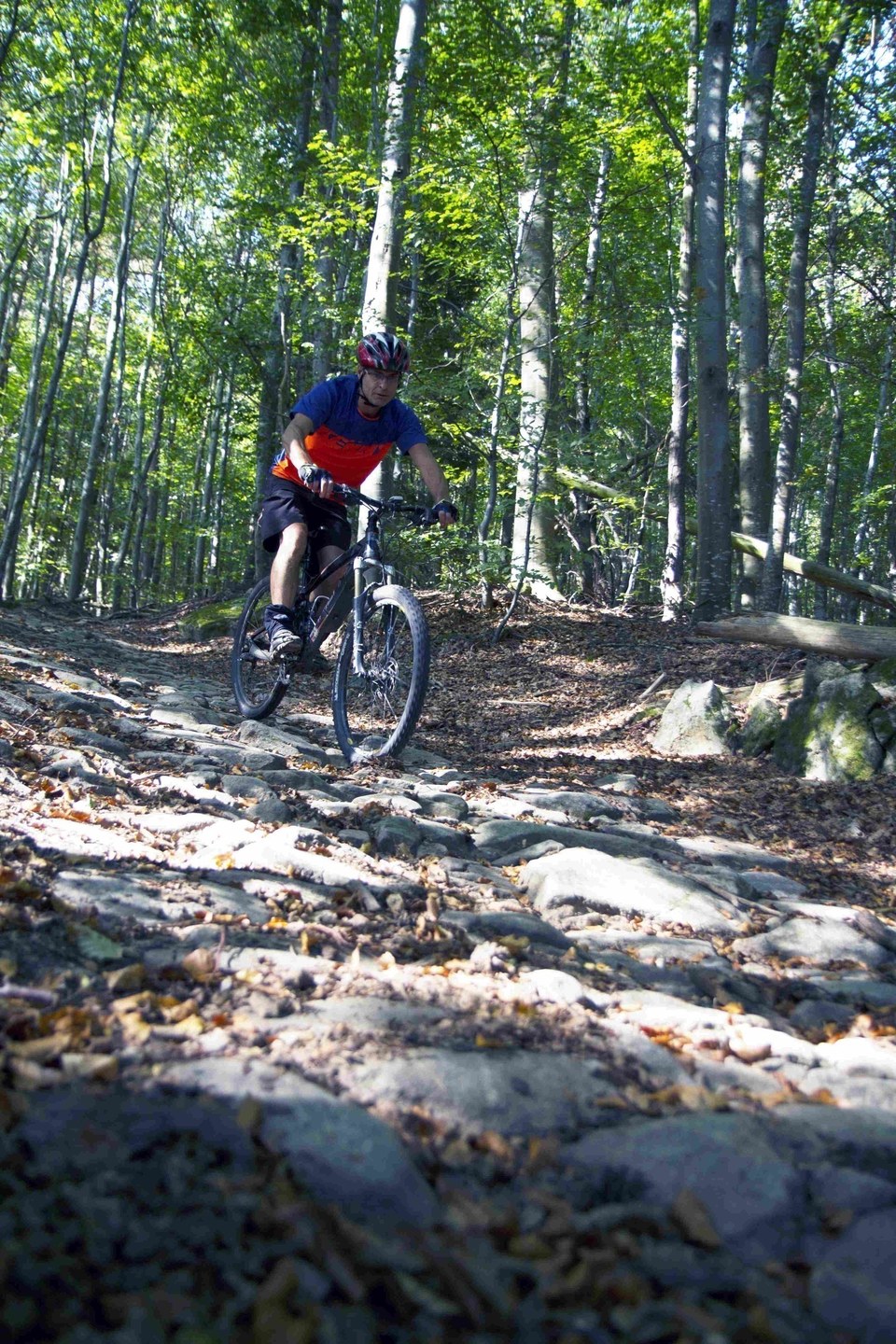 ENDURO 100 (2)