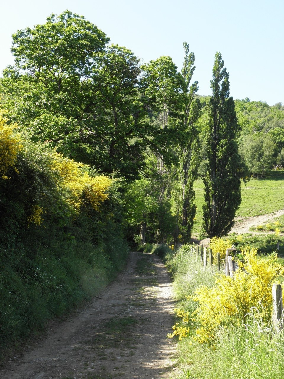 Photo chemin à Longes