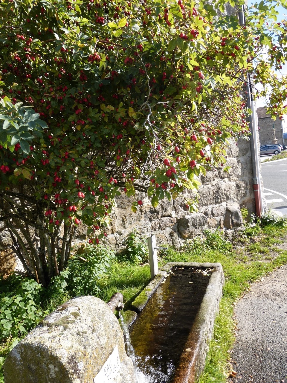 St-Régis-du-Coin