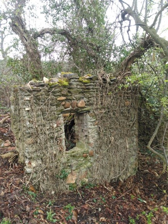Le Bataillard Saint-Romain-en-Gal n°2