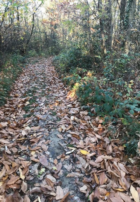 Sentier