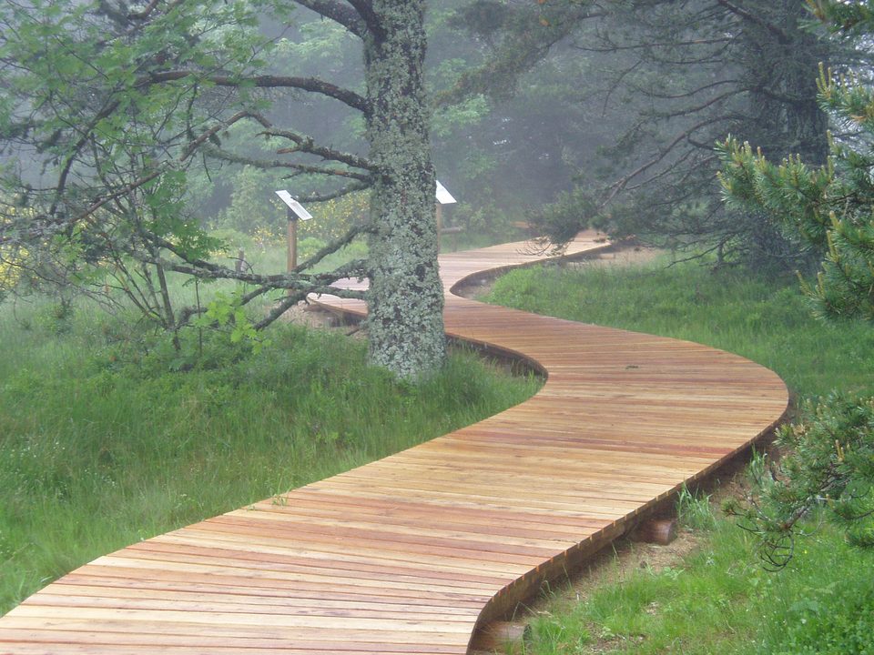 Tourbière de Gimel