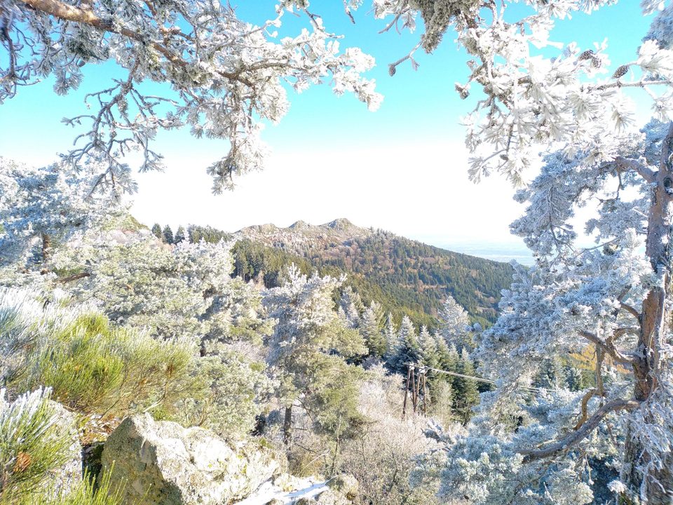 Hiver
