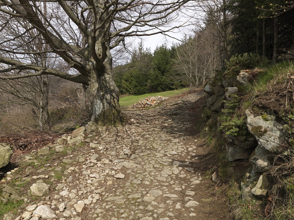 Fayard -saut gier-1443