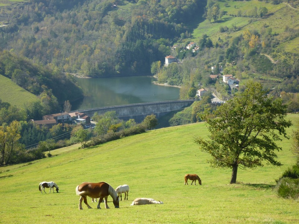 Bge de La Rive