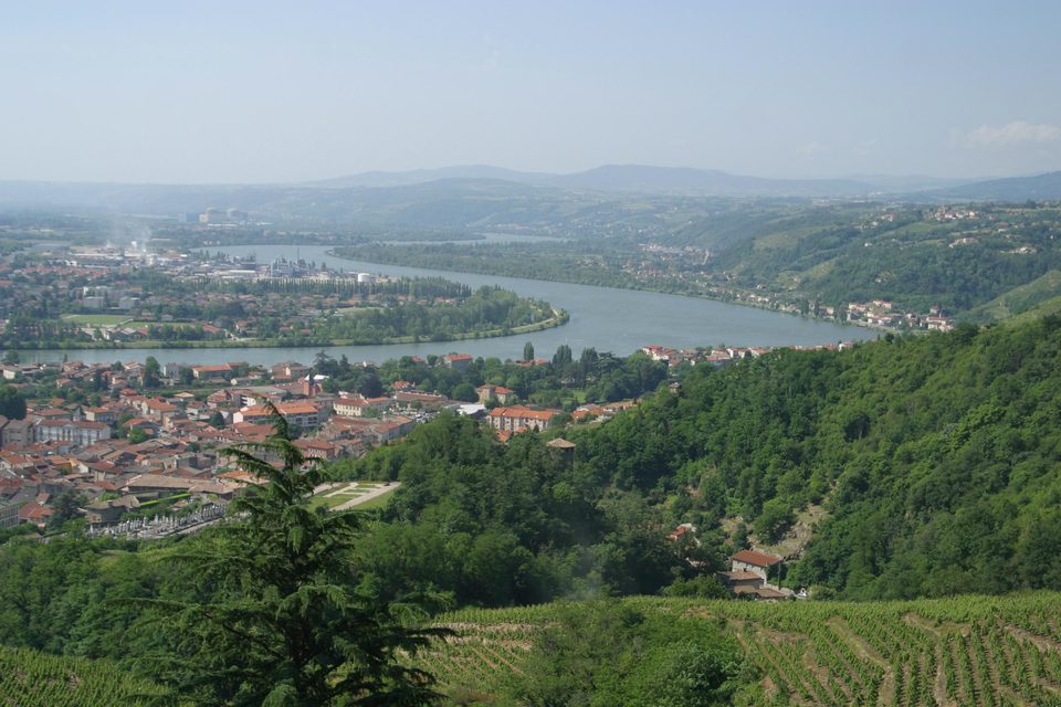 Condrieu