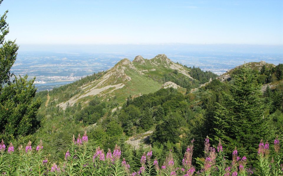 Sentier n°4 Claude Berthier (Depuis Chavanay)