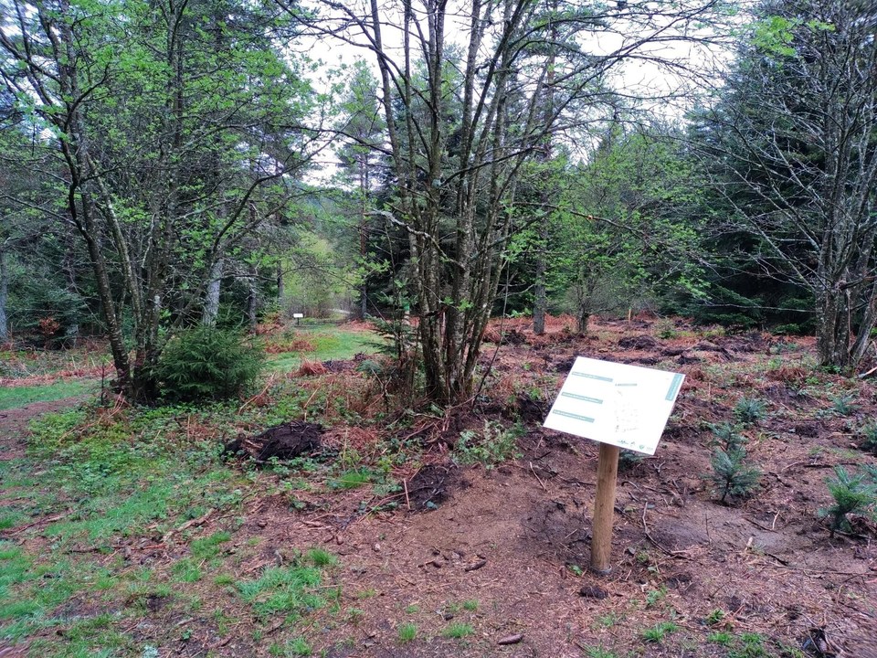 Les Vernels - Sentier d'interprétation