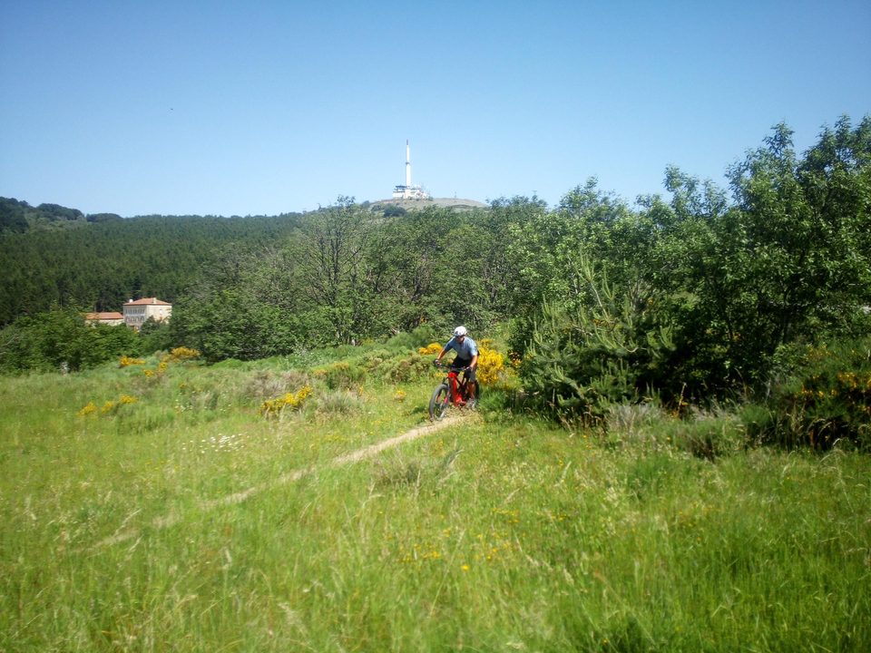Descente du Collet de l'Oeillon
