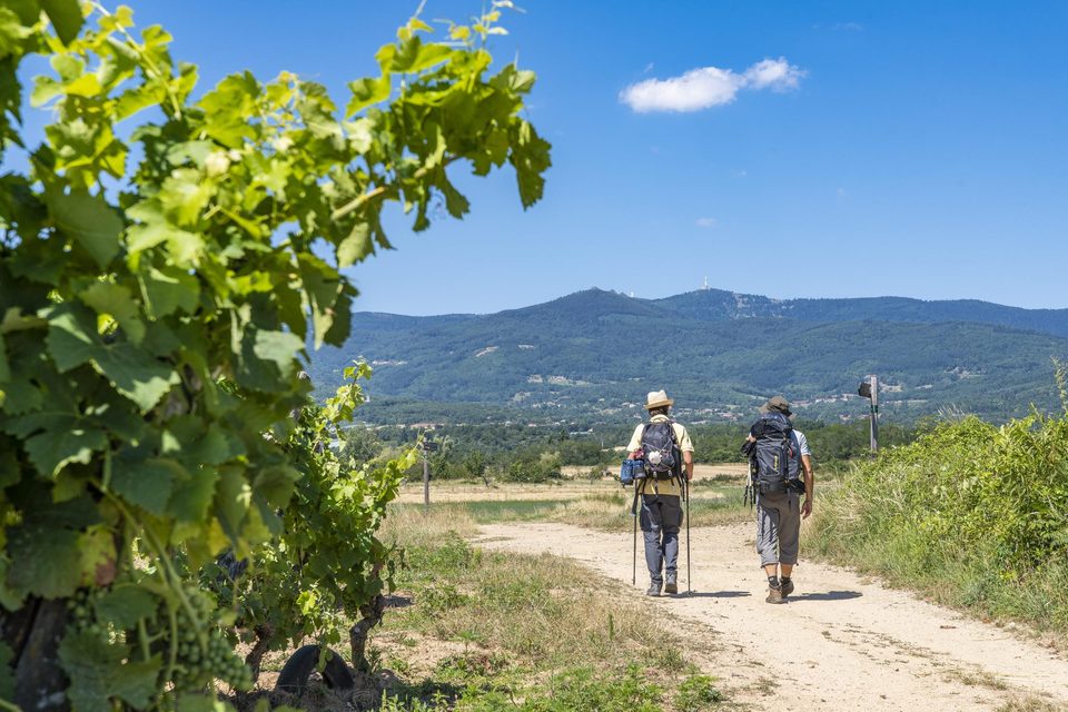Croisement du Saut de l'agneau