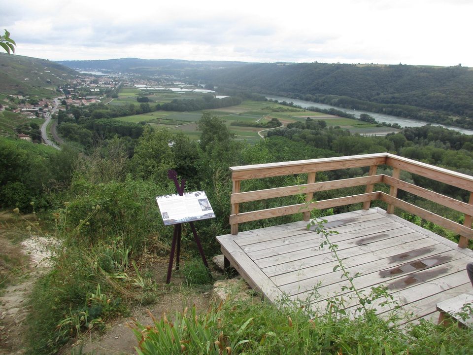 Belvédère et interprétation