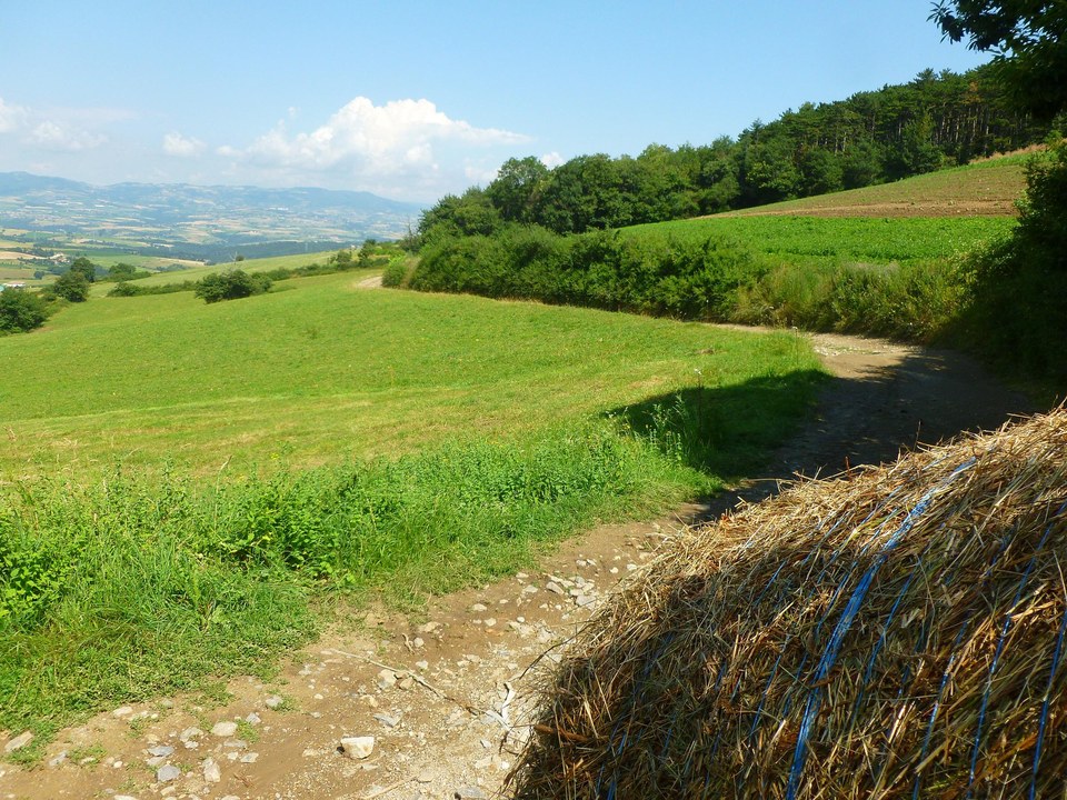 boucle équestre autour de Loire-sur-Rhône, Echalas et Les Haies