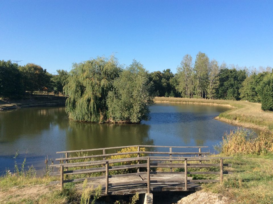 Etang de la Papière