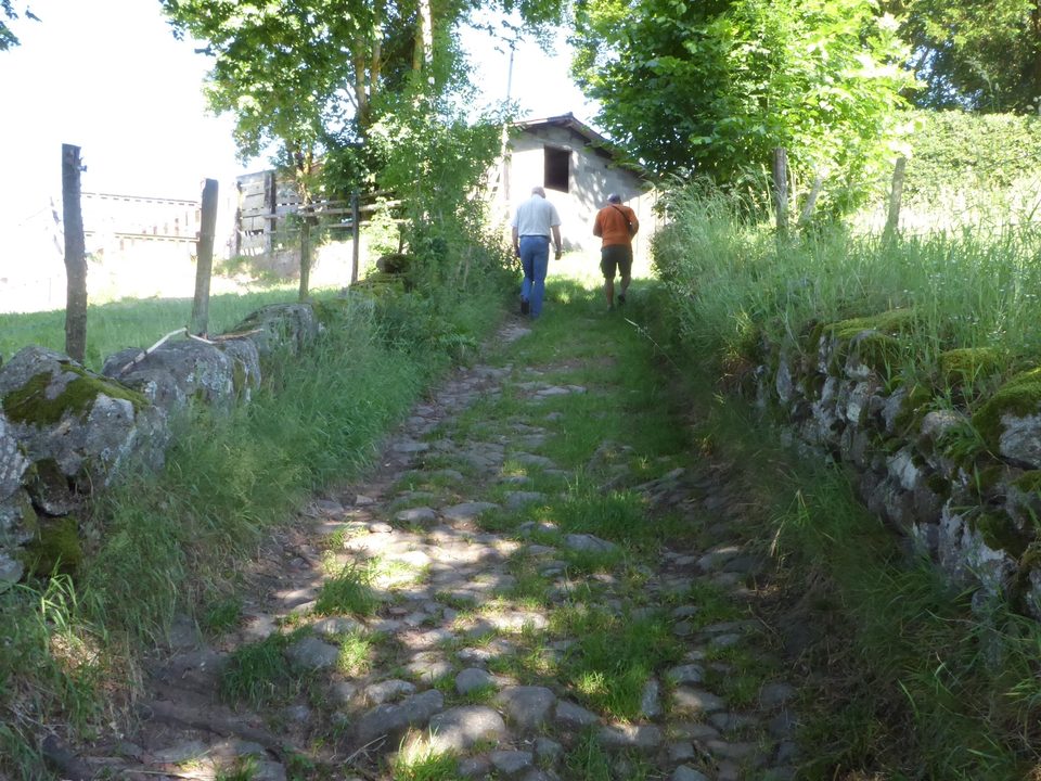 Chemin pavé