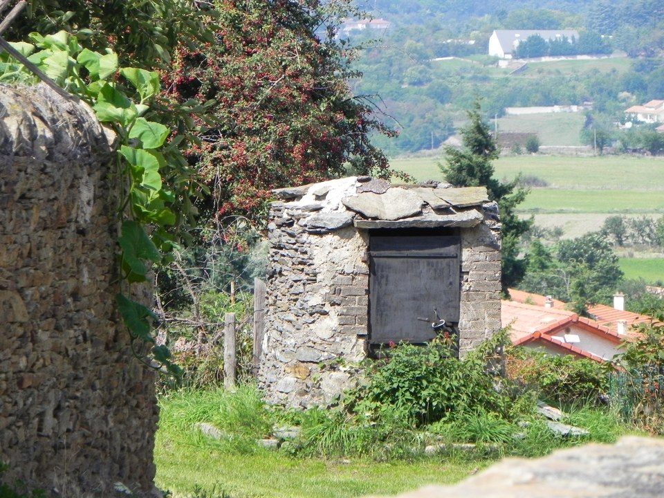 De la Combe d'Enfer au Crêt des Moussières - Echalas n° 3