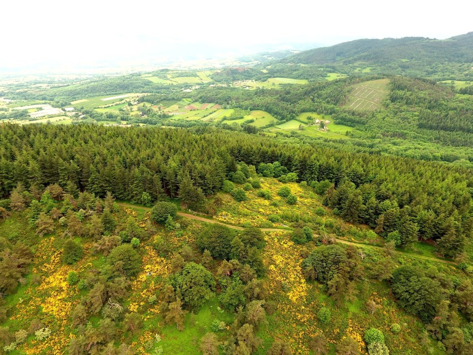 Vue de La Croix du Trève