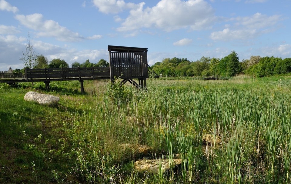Plailly, des champs aux bois