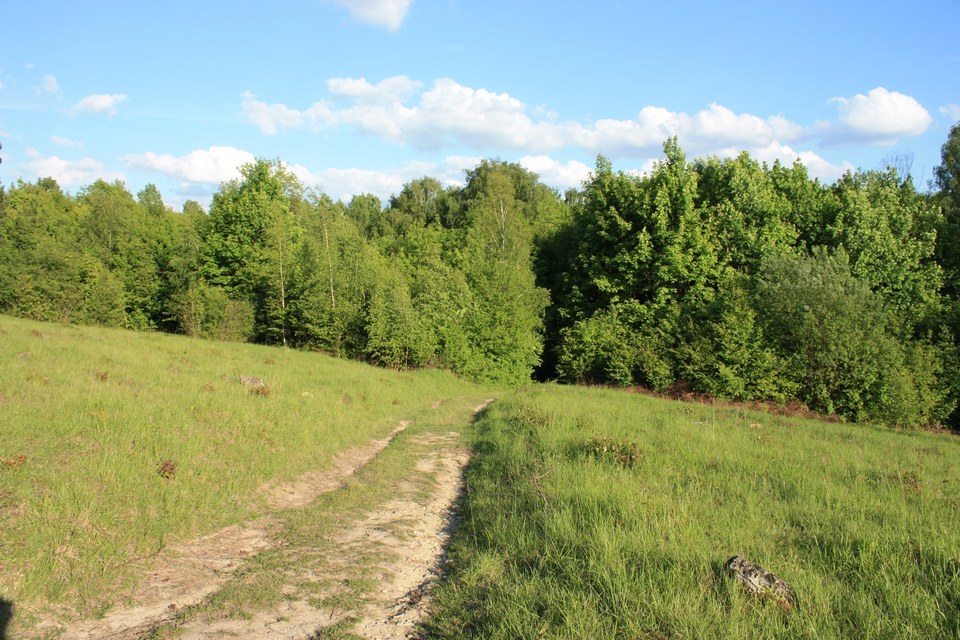 M6 - Autour du bois de Morval